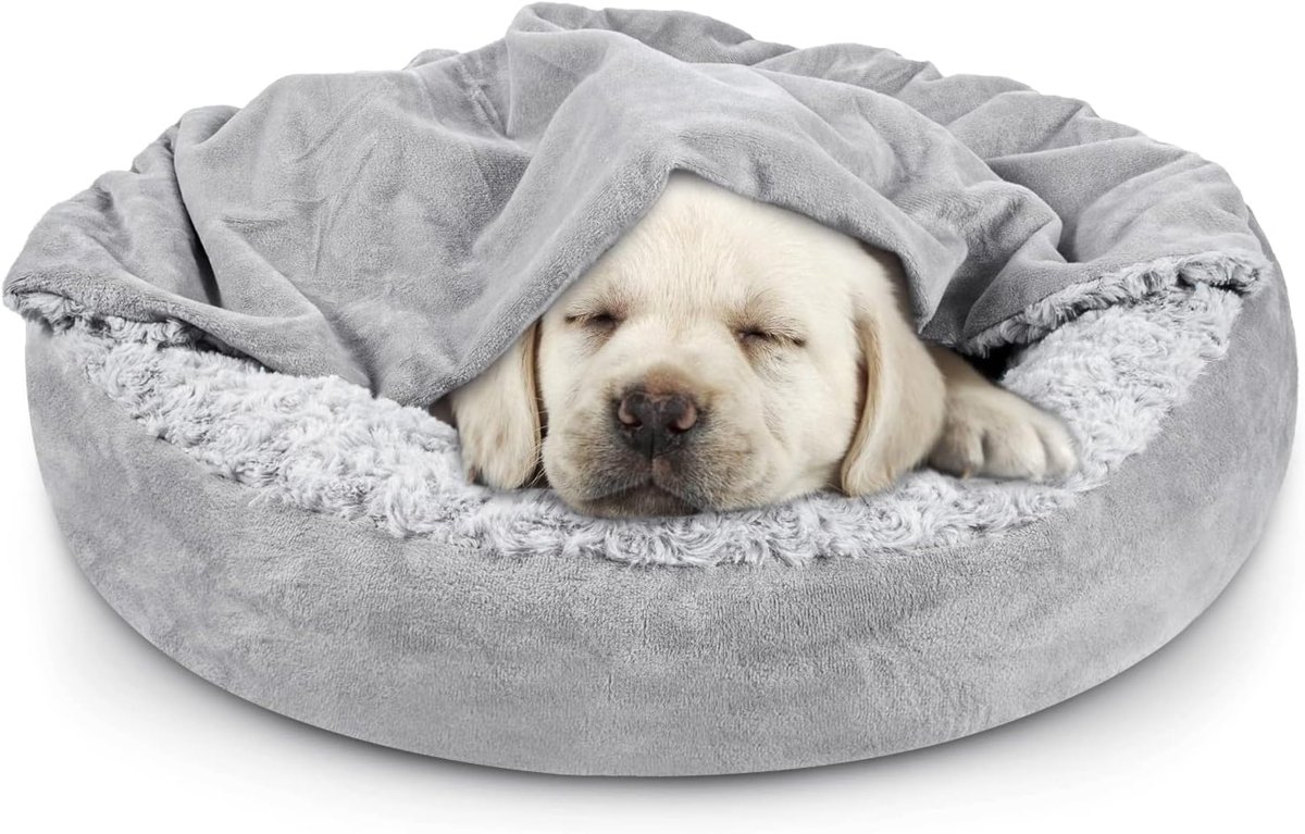 Foam Dog Bed & Pet Mat — product reference